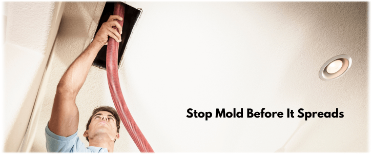Air Duct Mold Removal in White Plains NY